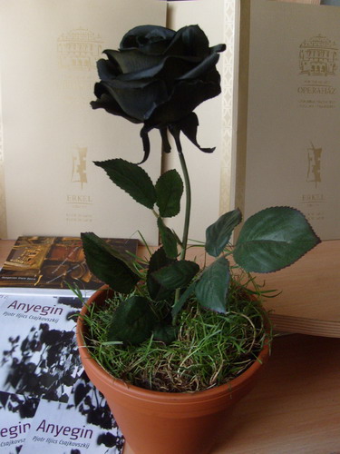 Az előadás egyik jelképe: a fekete rózsa (Fotó: Fülöp Károly)